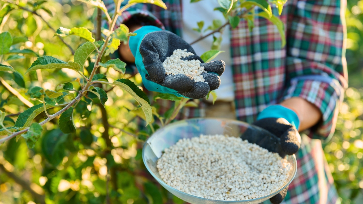 Potash for Apple Trees visual data 8