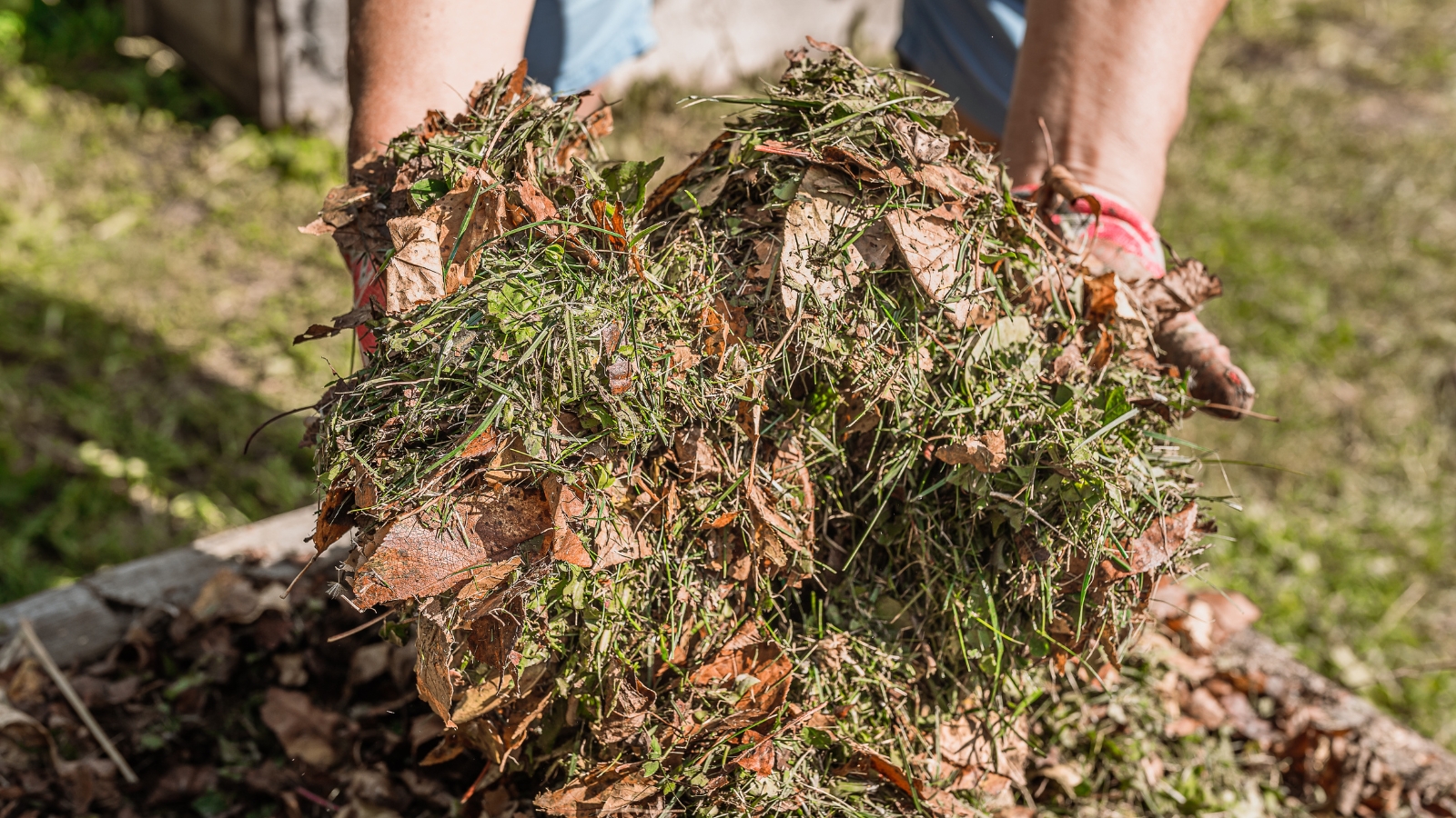 Do Fall Leaves Make Good Compost 