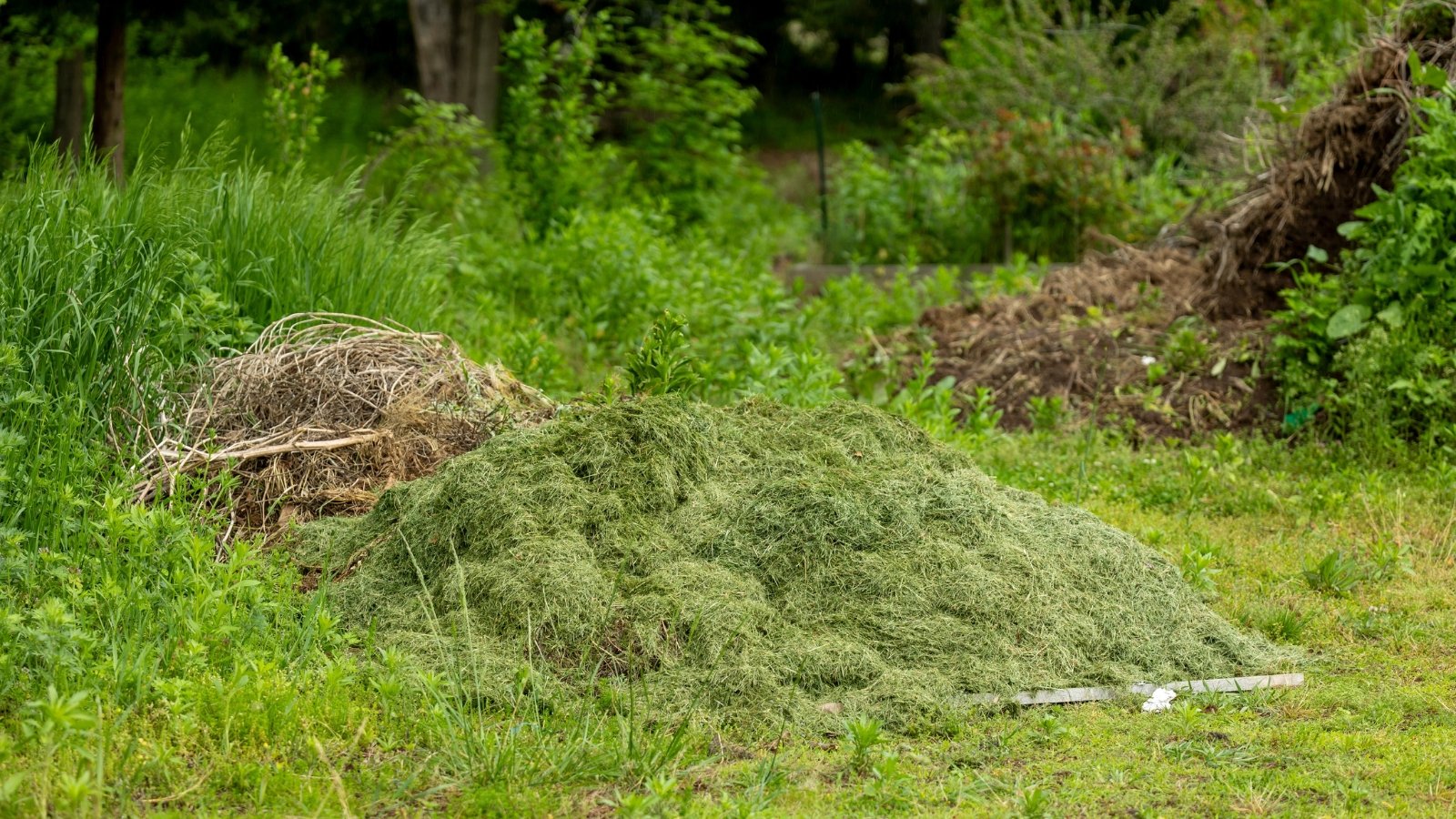 A large pile of freshly cut green foliage is left on the ground in a natural, grassy area with trees and bushes visible in the background.