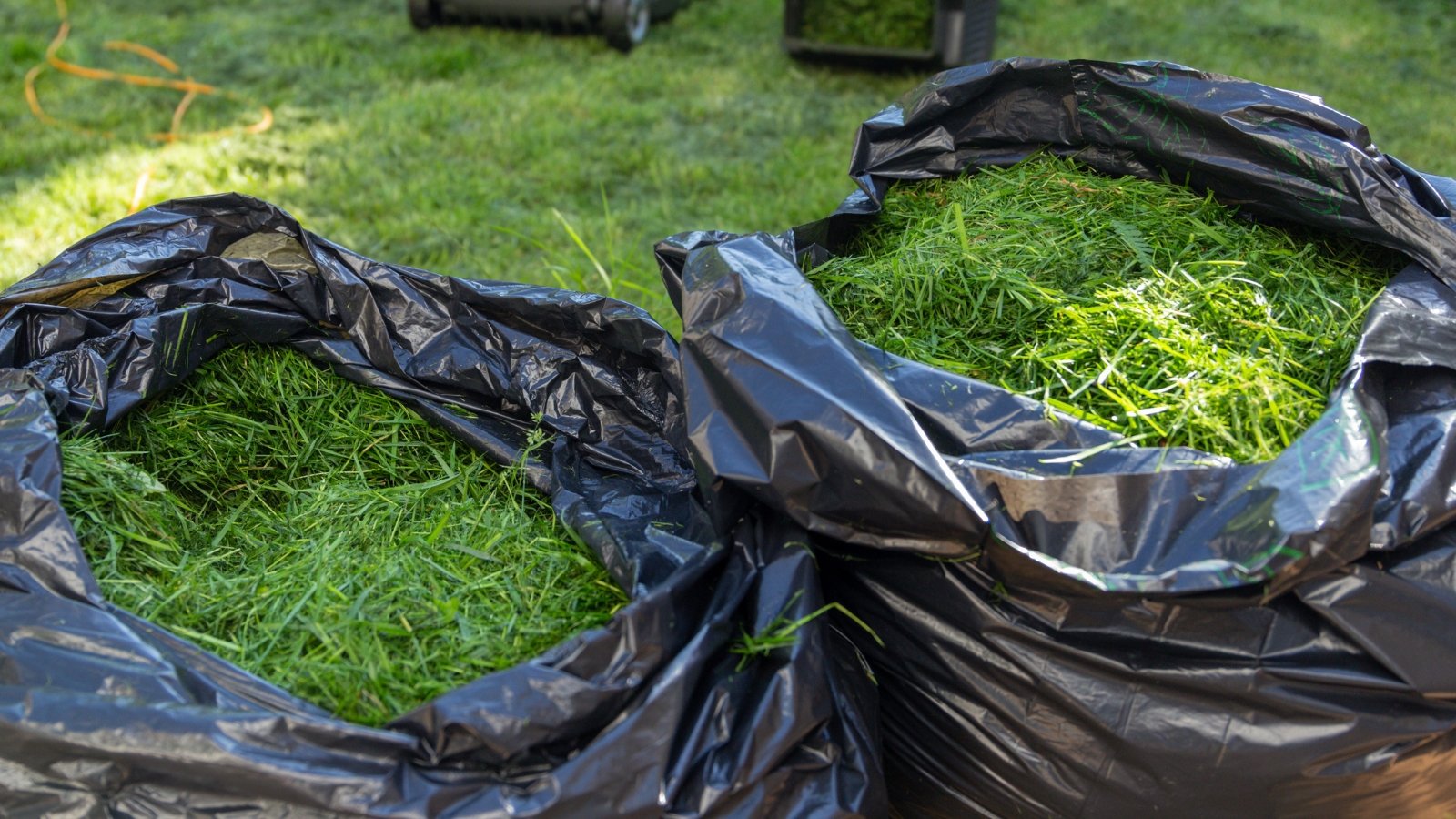 Two lawn mowers sit in a sunlit yard, next to large black bags stuffed with freshly cut green vegetation, neatly piled after mowing a lush, green lawn.