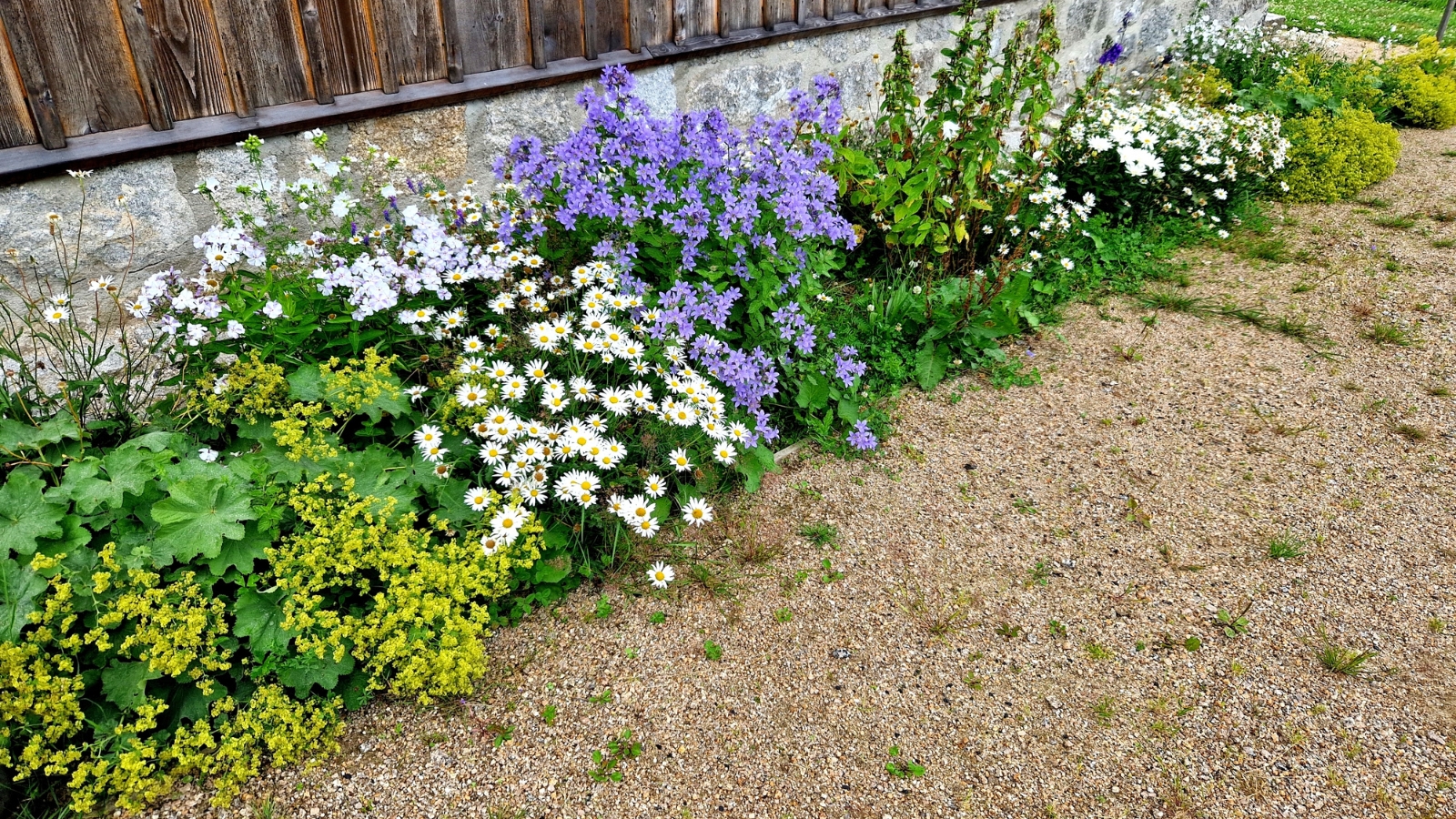 thumbnail image 2 of Crewcut Garden Fence Wallpaper Border – Flowers, Bushes & Blue Trim, Vinyl Coated, Country Stone Fence Look 2 of 6