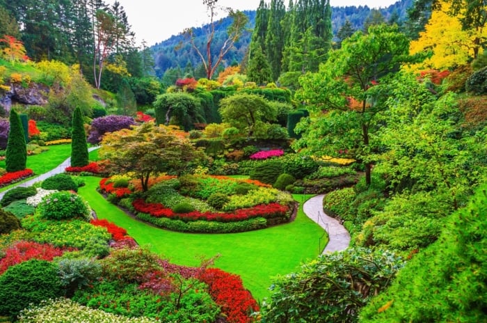 A winding pathway meanders through vibrant green grass, bordered by meticulously arranged red, yellow, and green flower beds, leading toward lush trees and shrubs in the background.