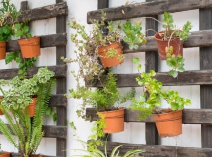 A creative display of small terracotta pots, arranged vertically on a wooden trellis, filled with lush plants cascading down.