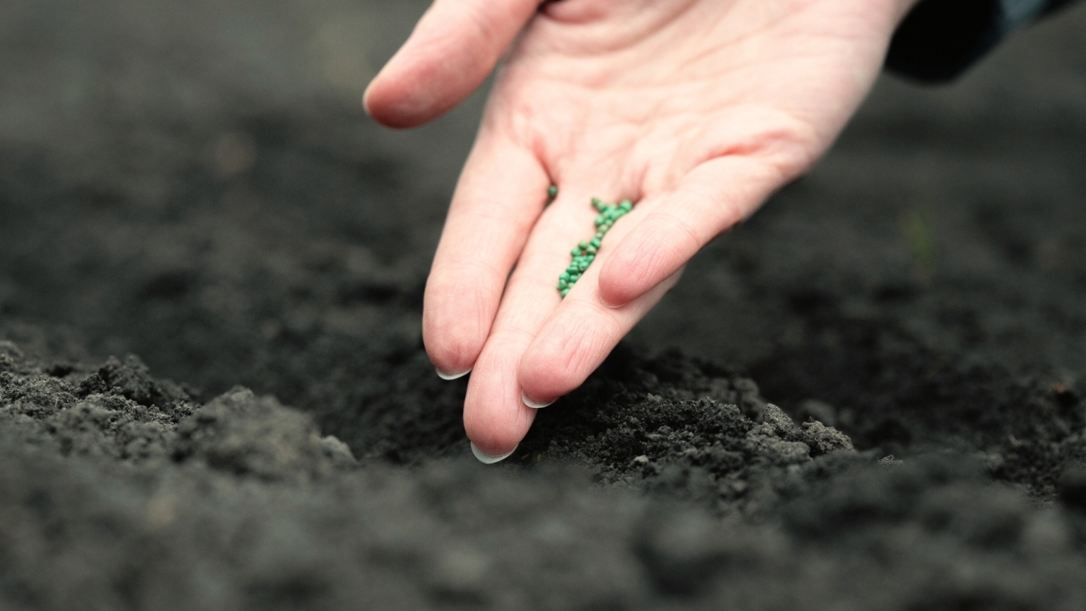 How to Start a Vegetable Garden in Zone 8