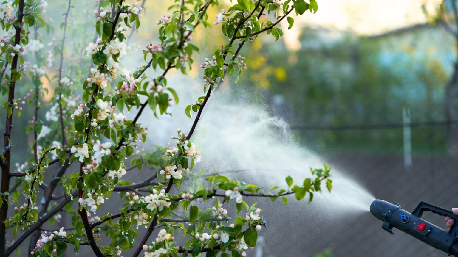Spinosad Insecticides: How to Use Them Safely