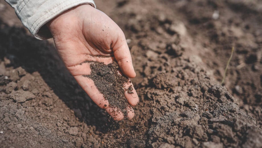 How to Amend and Improve Clay Soil