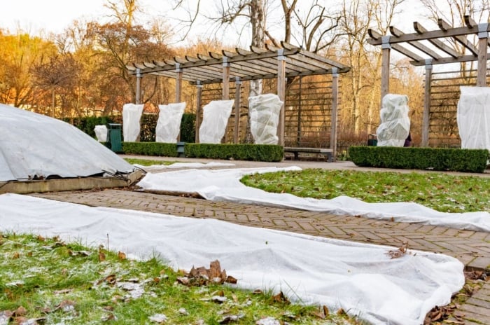 A shot of a garden using methods to protect crops frost