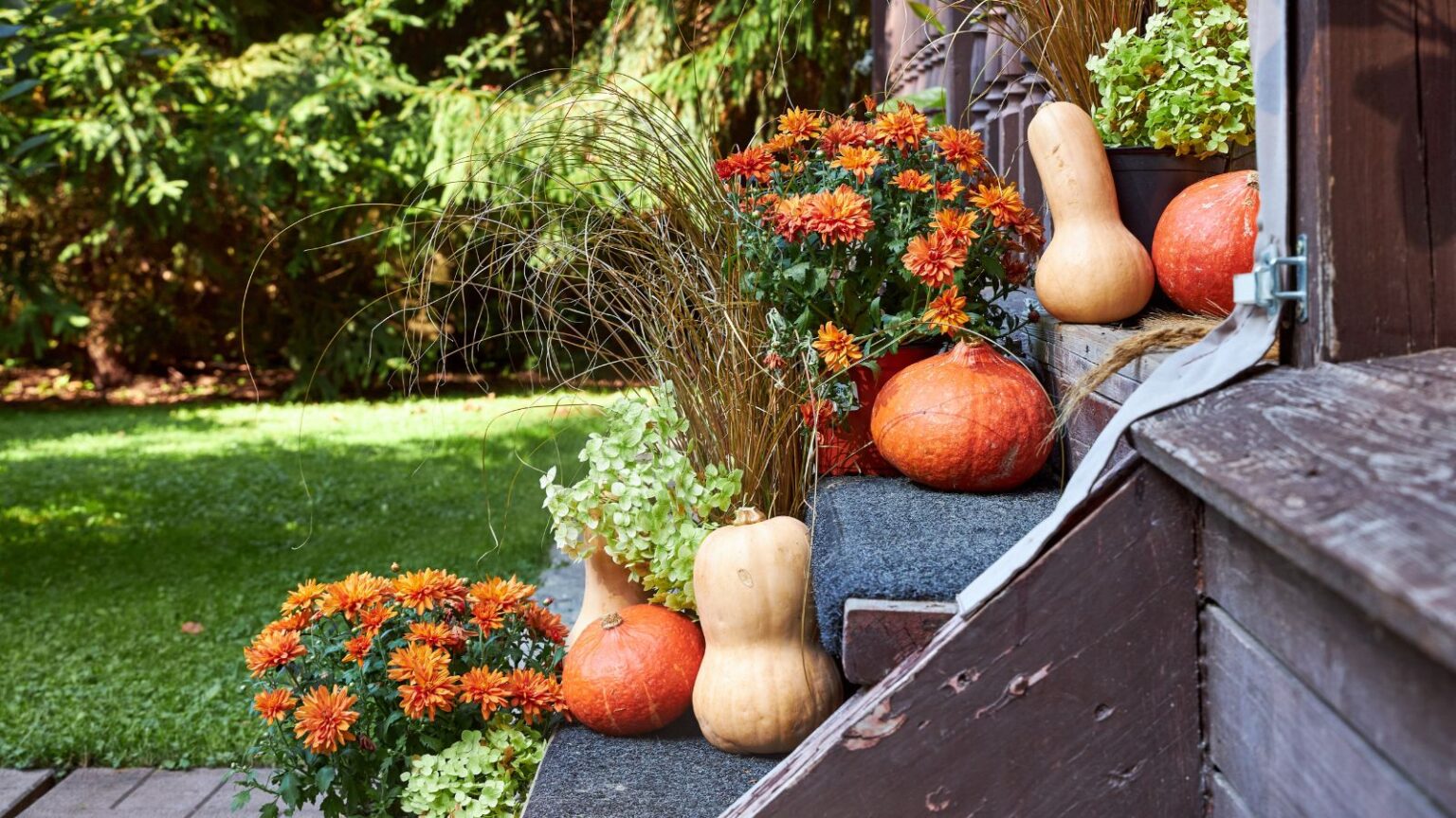 How to Plant The Perfect Fall Container Garden