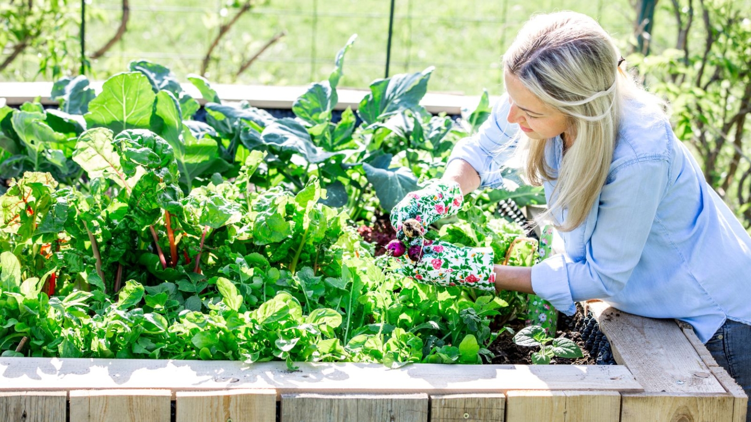 9 Ways to Protect Your Raised Bed Vegetable Garden From Frost