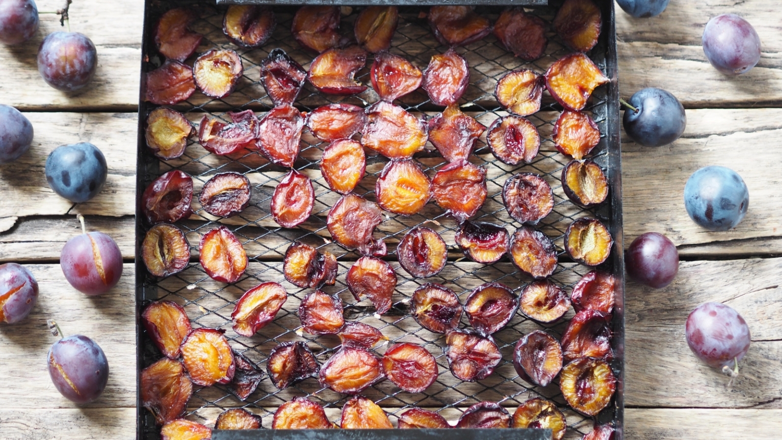 How and When to Harvest Plums for The Sweetest Fruit