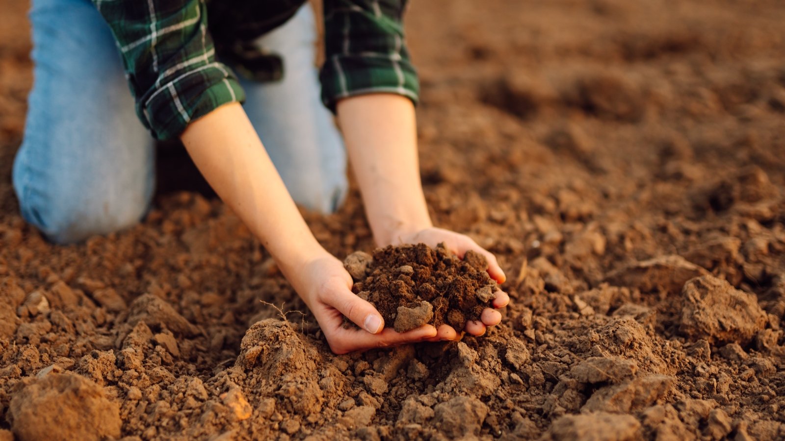 Close-up of a woman holding a handful of fresh, loose, dark brown soil in her hands while sitting in an empty garden bed.