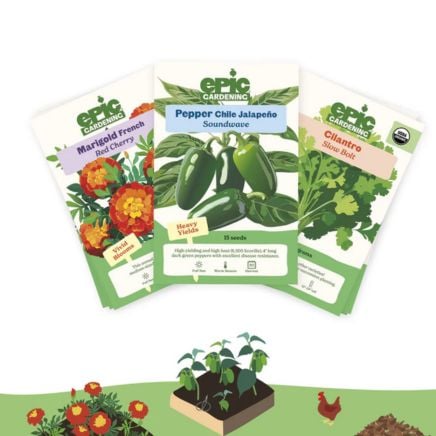 The Complete Epic Seed Collection