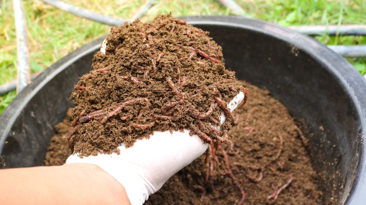 Homemade Seed Starting Mix: DIY Options with Recipes