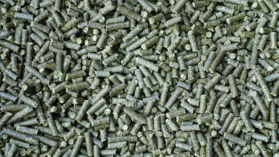 How to Make and Use Alfalfa Meal Fertilizer