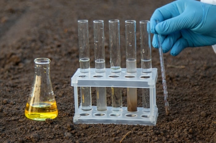Close-up of a hand in a blue glove conducting a soil test in a fall garden, with several test tubes containing different liquids placed on the soil.