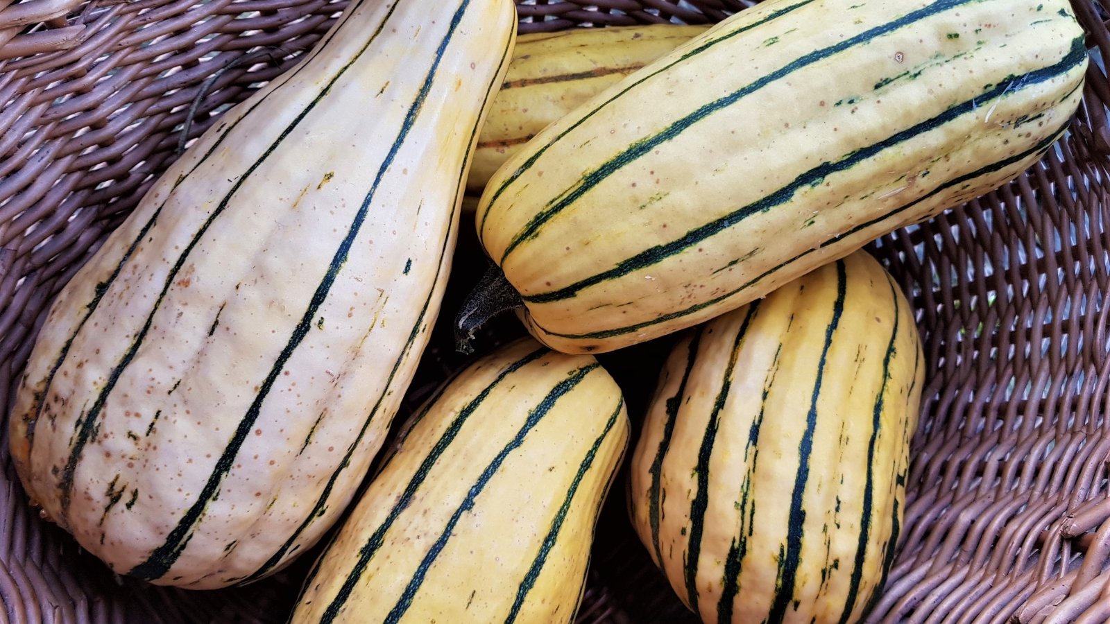 Several fresh, cylindrical fruits with a pale, delicate rind accented by bold green stripes, nestled in a wicker basket.