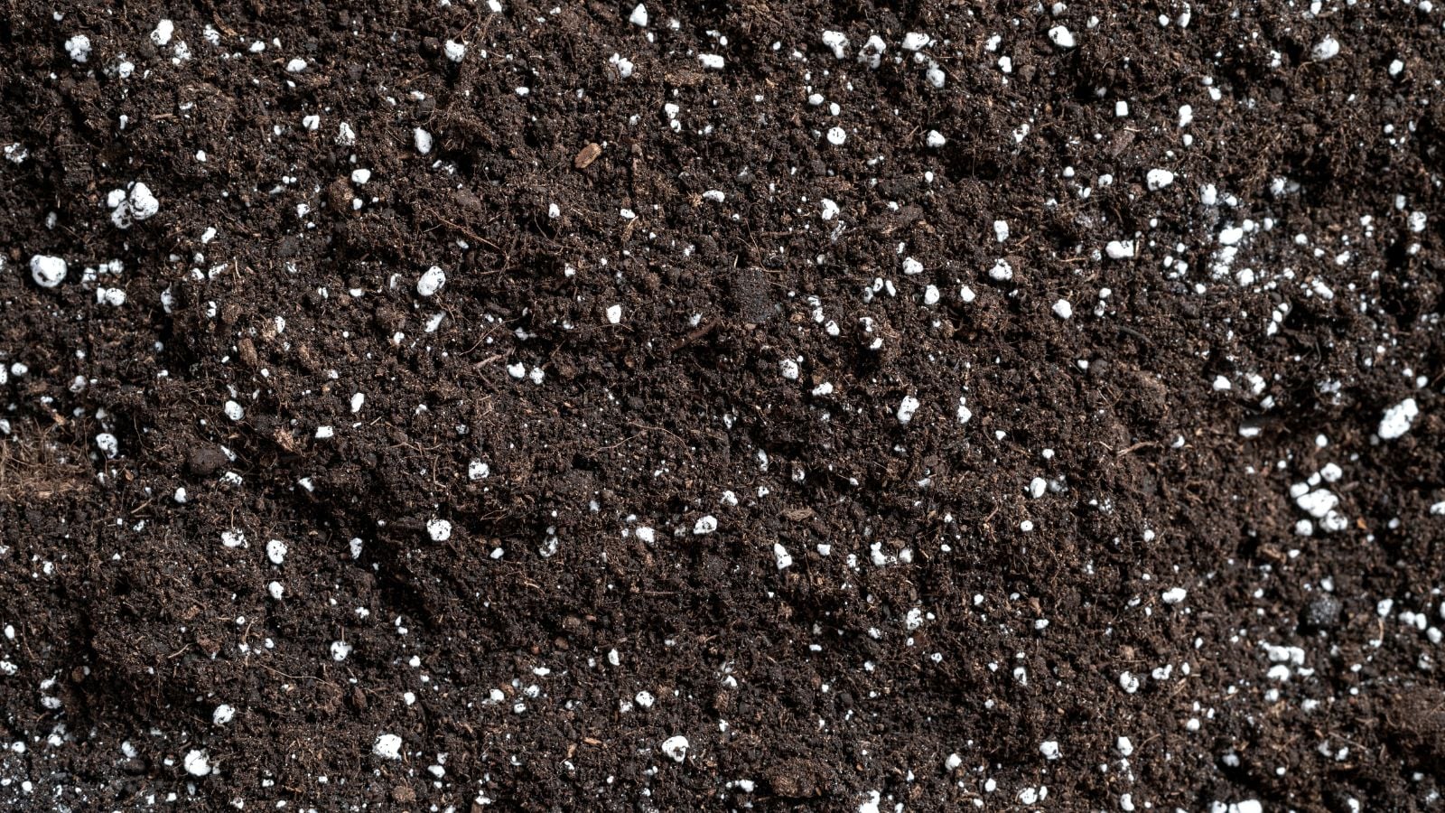 An overhead shot of rich brown soil amended with perlite