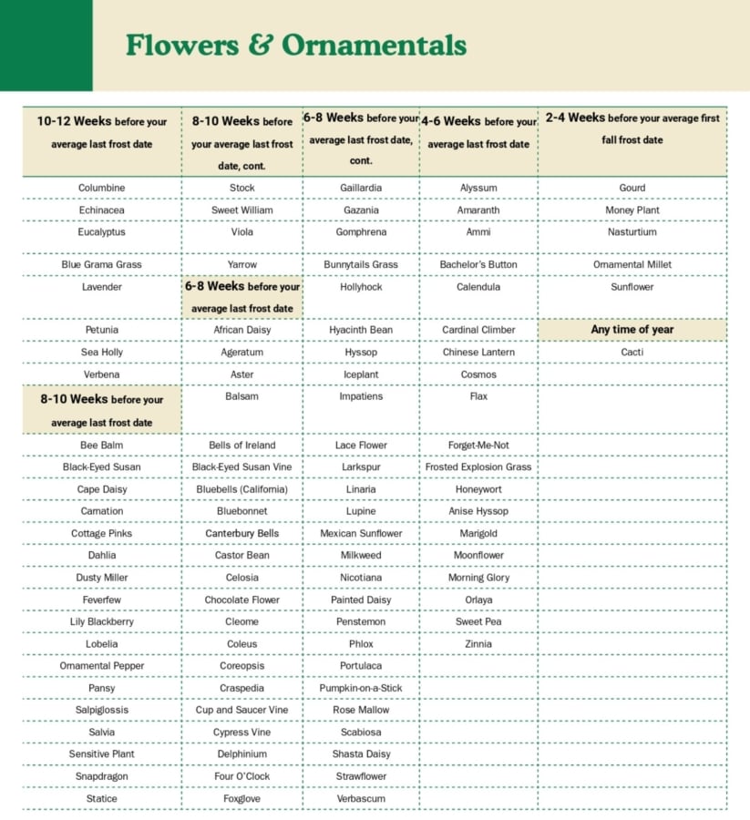 How and When to Start Seeds Indoors