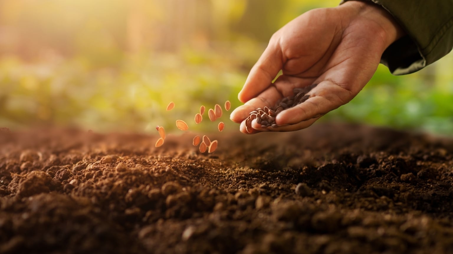 7 Tips to Improve Native Plant Seed Germination