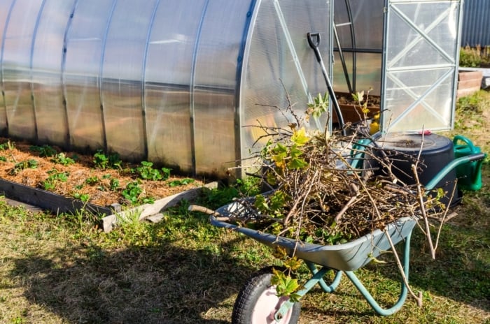 Close-up of a wheelbarrow filled with plant debris and branches, set against the backdrop of a polycarbonate greenhouse in a sunny autumn garden.