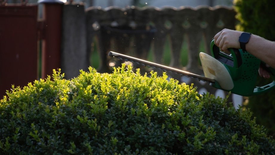 How and When to Trim Your Hedges - Epic Gardening