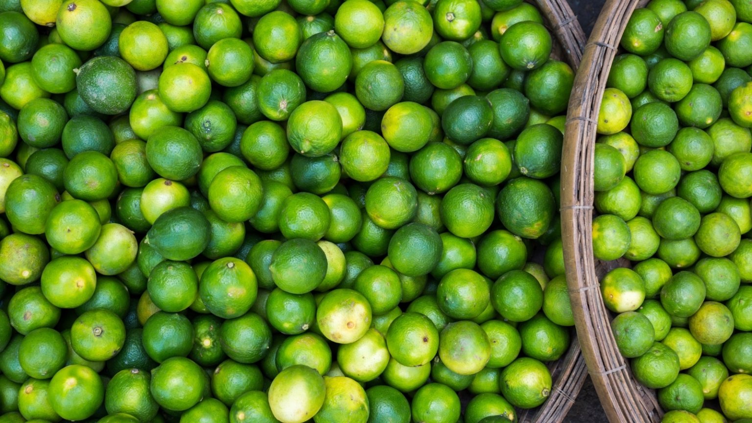 How and When to Harvest Limes