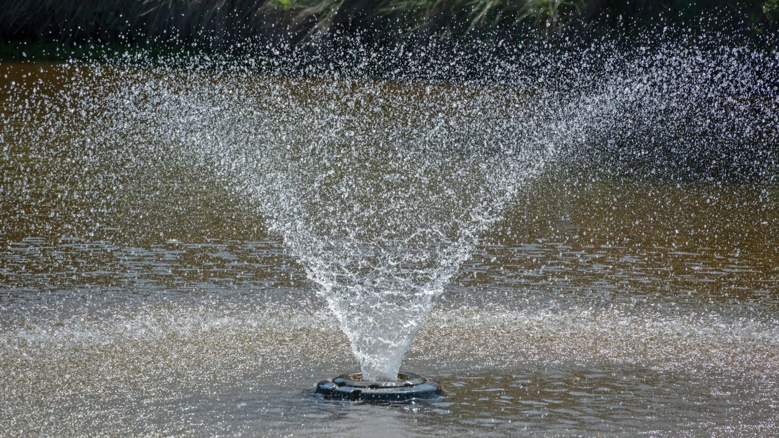 A water aerator creating a symmetrical spray pattern, with droplets splashing into the surrounding calm water.