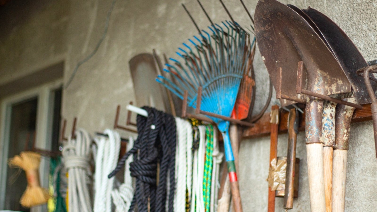 Close-up of neatly arranged gardening tools in a shed, with ropes, cords, rakes, shovels, and other equipment hanging on hooks.