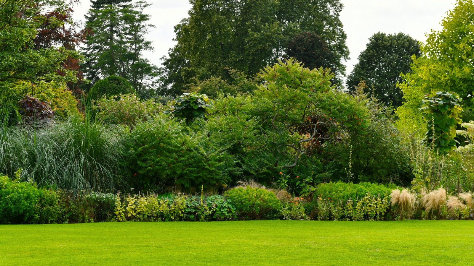 English-style landscape garden including a variety of trees, shrubs, and perennials with a freshly mowed lawn.