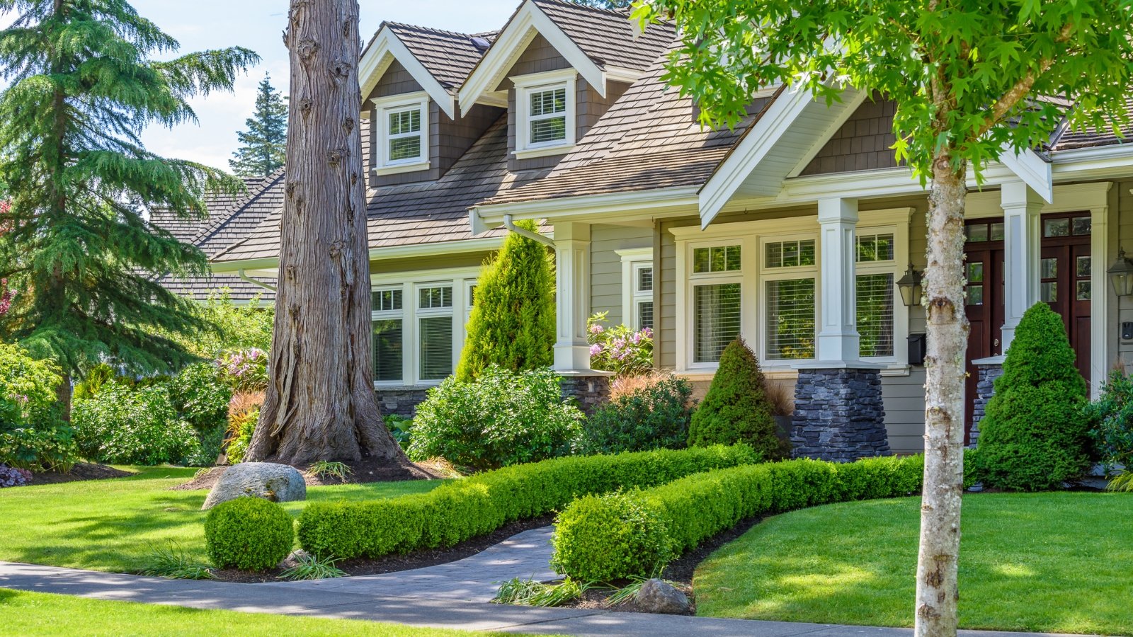 A neat garden in front of a large American house featuring a trimmed green lawn, boxwood bushes, tall trees, firs, thujas, and a mix of perennial and evergreen shrubs.