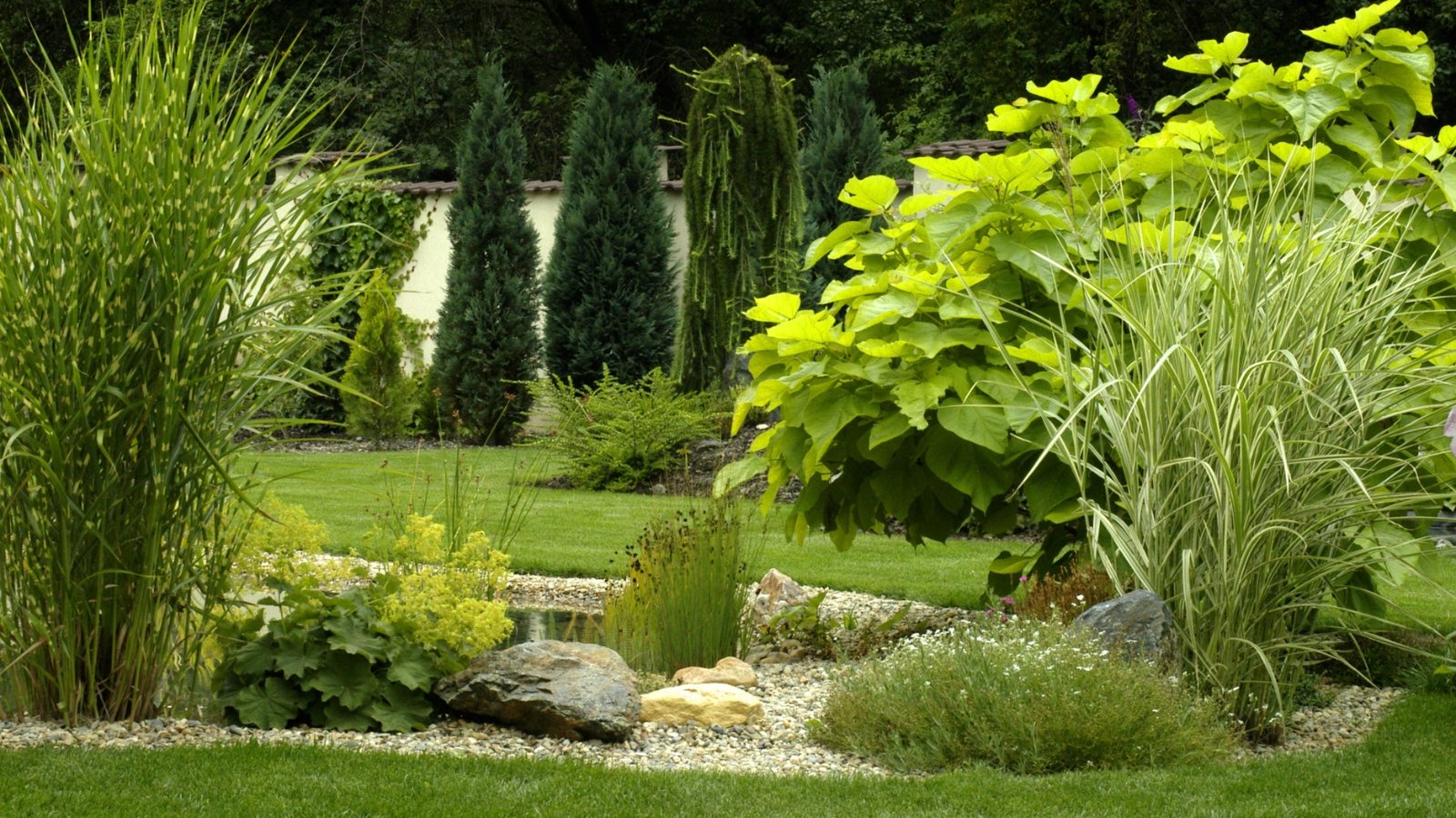 A garden featuring tall arborvitaes along a fence, with gravel beds showcasing a mix of evergreens, perennials, Chinese silver grass, Lady's-mantle, variegated Japanese silver grass, golden Catalpa, and weeping European larch.