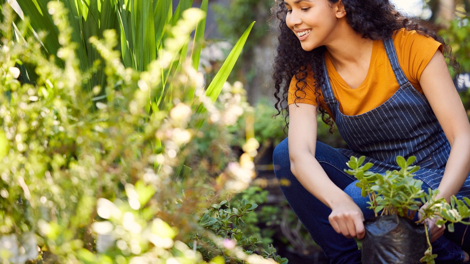 Female gardener in a bright orange t-shirt and blue apron with long curly black hair inspecting various plants thriving in the garden.