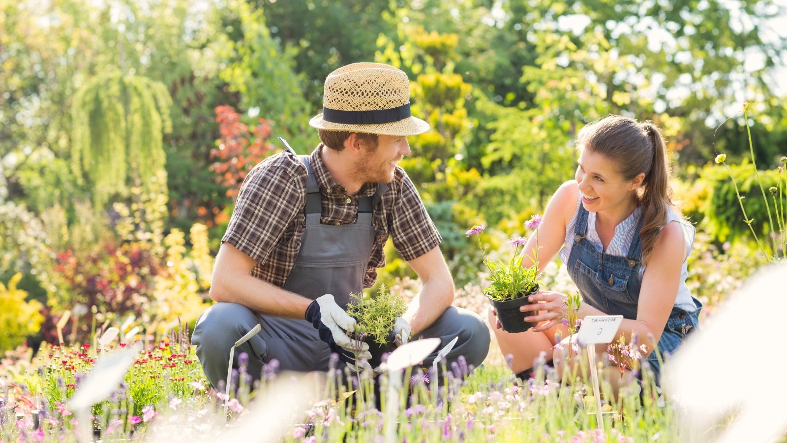 gardening resolutions two people talking in garden