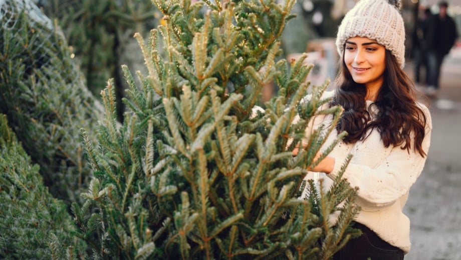 11 Pro Tips to Keep Your Christmas Tree Alive as Long as Possible