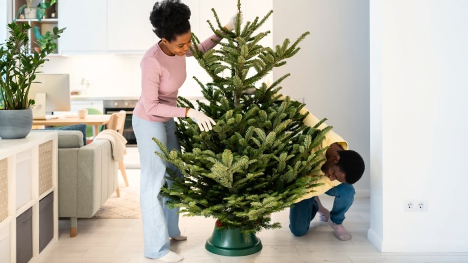 11 Pro Tips to Keep Your Christmas Tree Alive as Long as Possible
