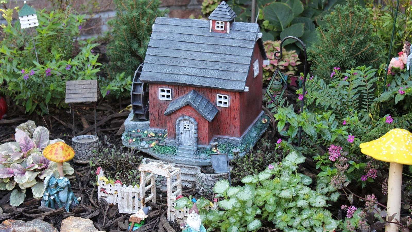 Ajuga reptans 'Valfredda' with dark green, compact foliage growing near a small red house model, surrounded by moss and ornaments.