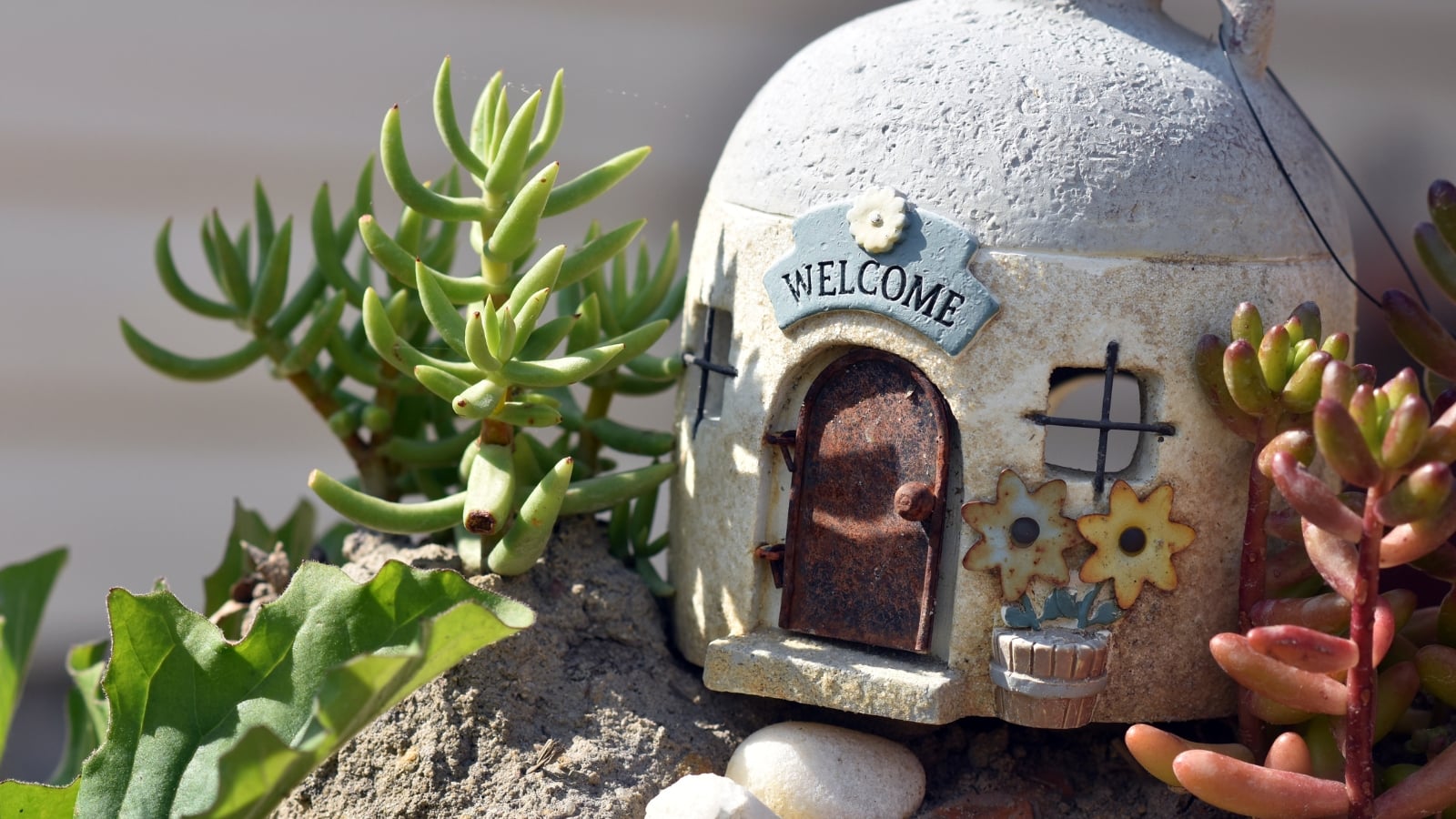 Crassula tetragona with upright green, needle-like leaves placed near a dome-shaped model structure with intricate details.