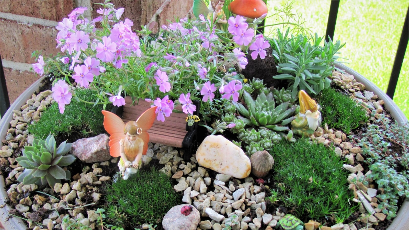 Echeveria 'Sunburst' with green and yellow rosettes surrounded by moss, gravel, and tiny decorative ornaments in a bowl.