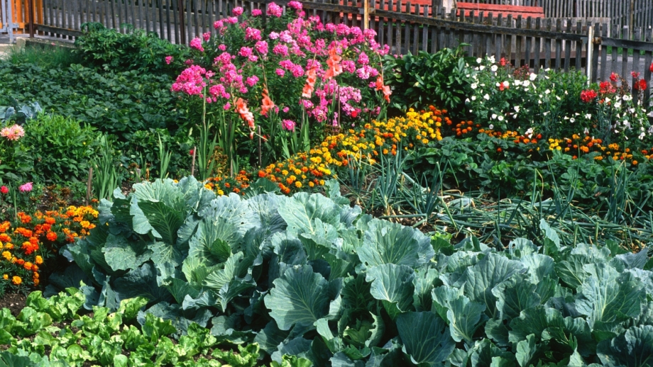 13 New Gardening Trends for 2025