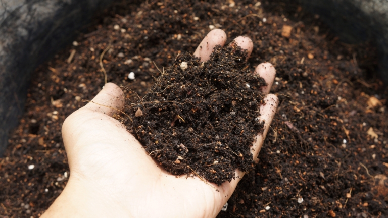 The Best Performing DIY Soil Mix for Home Gardeners: How to Make it
