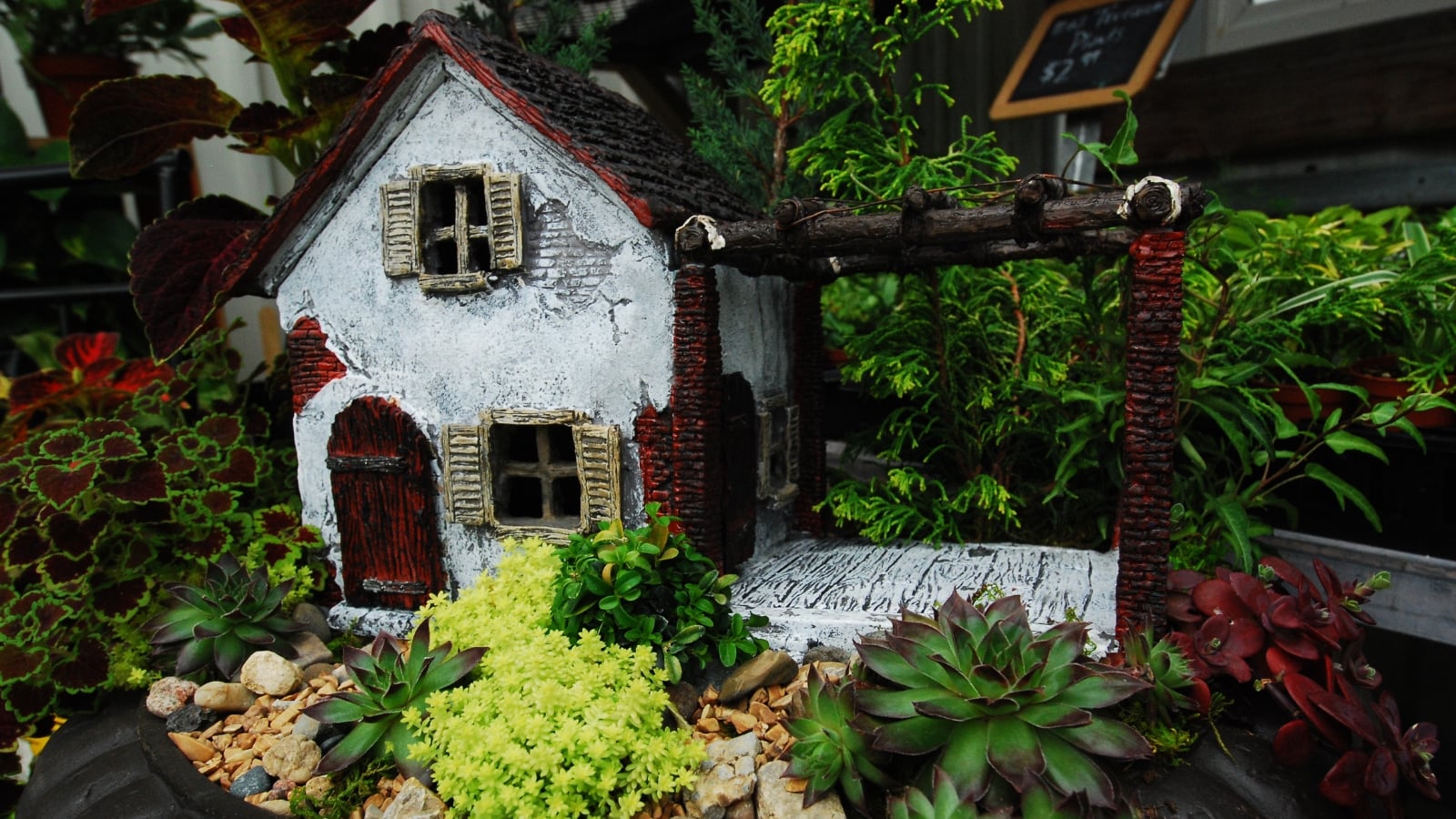 Hylotelephium 'Angelina' with bright green, needle-like foliage next to a rustic cottage model surrounded by succulents.