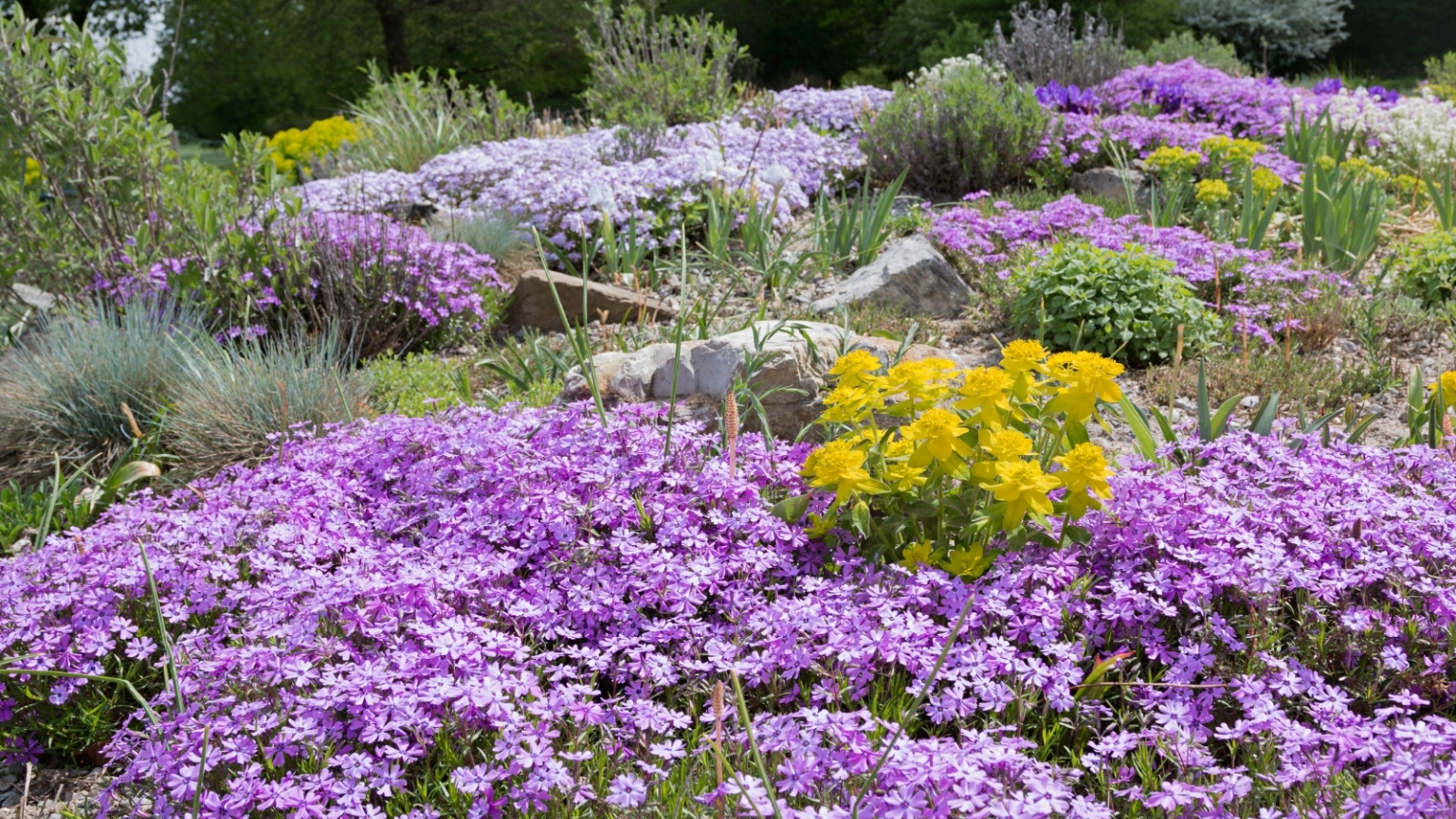 13 New Gardening Trends for 2025
