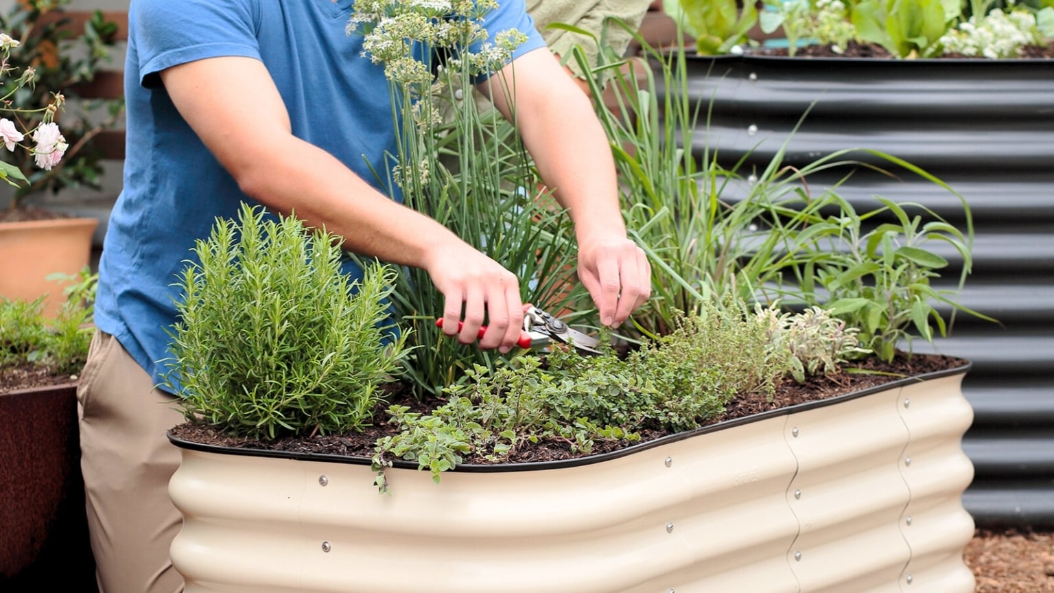 How to Grow the Ultimate Survival Garden