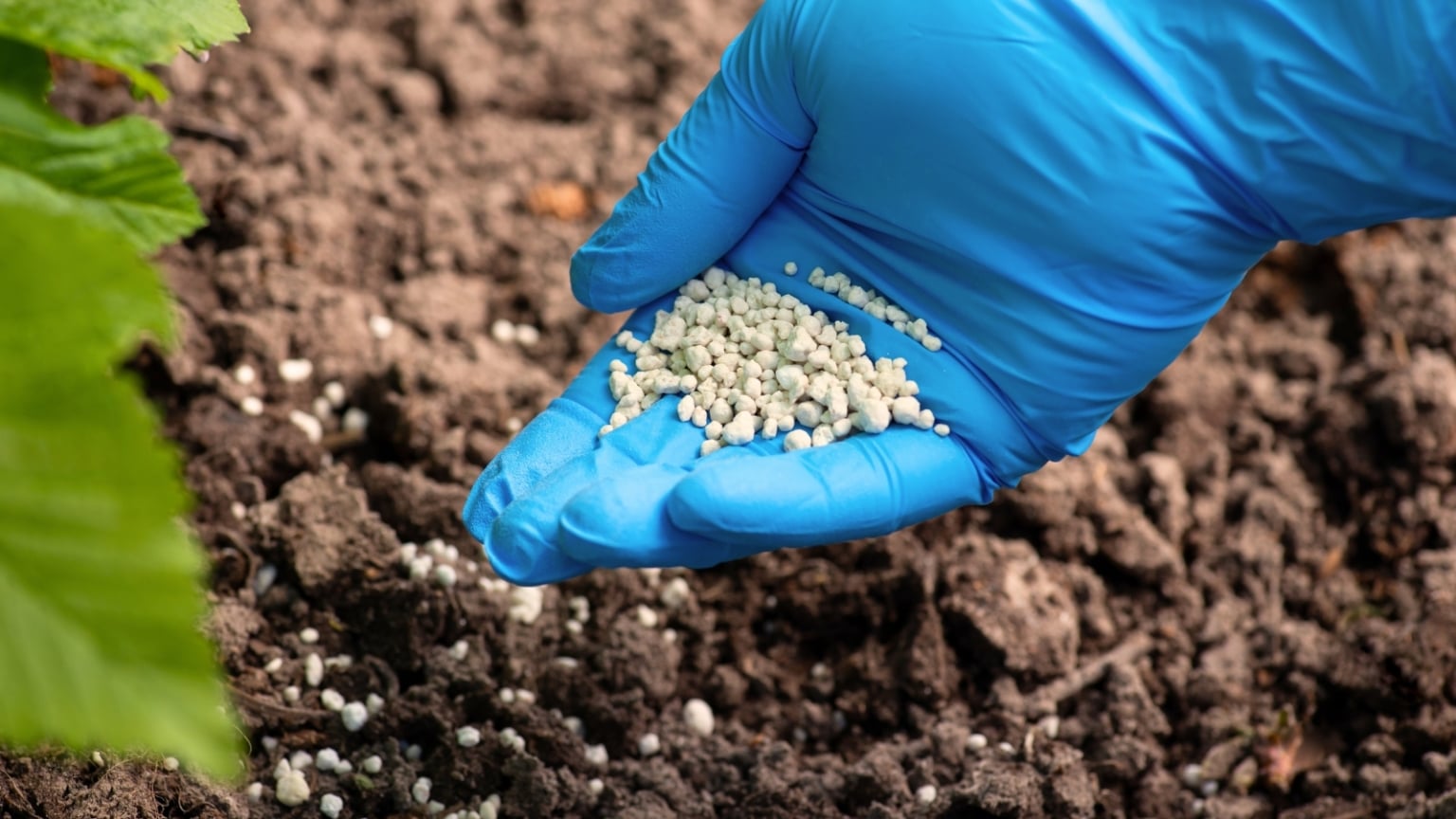 Do These 13 Gardening Tasks in March to Boost Your Garden’s Yield