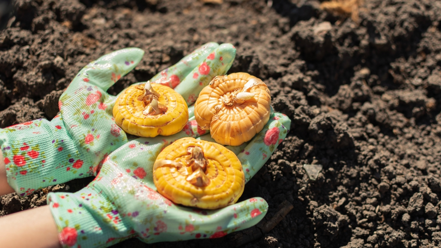 13 Garden Tasks to Tackle in April