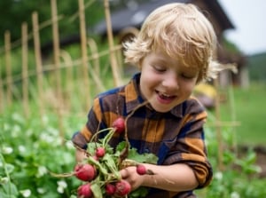 A child holding freshly harvested radishes with red bulbs and leafy green tops, smiling excitedly.