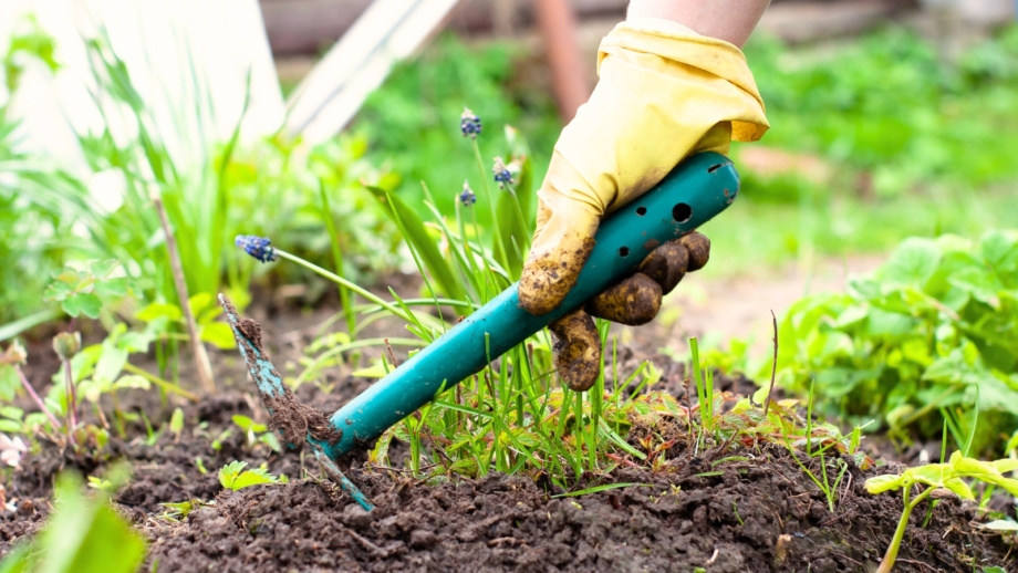 13 Garden Tasks to Tackle in April