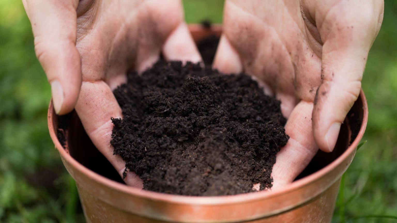 7 Ways to Reuse Old Potting Soil in the Garden