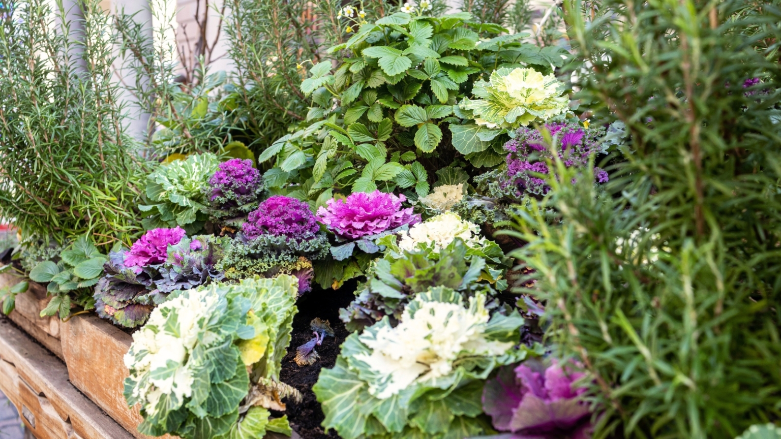 15 Budget-Friendly Spring Container Ideas to Try This Season