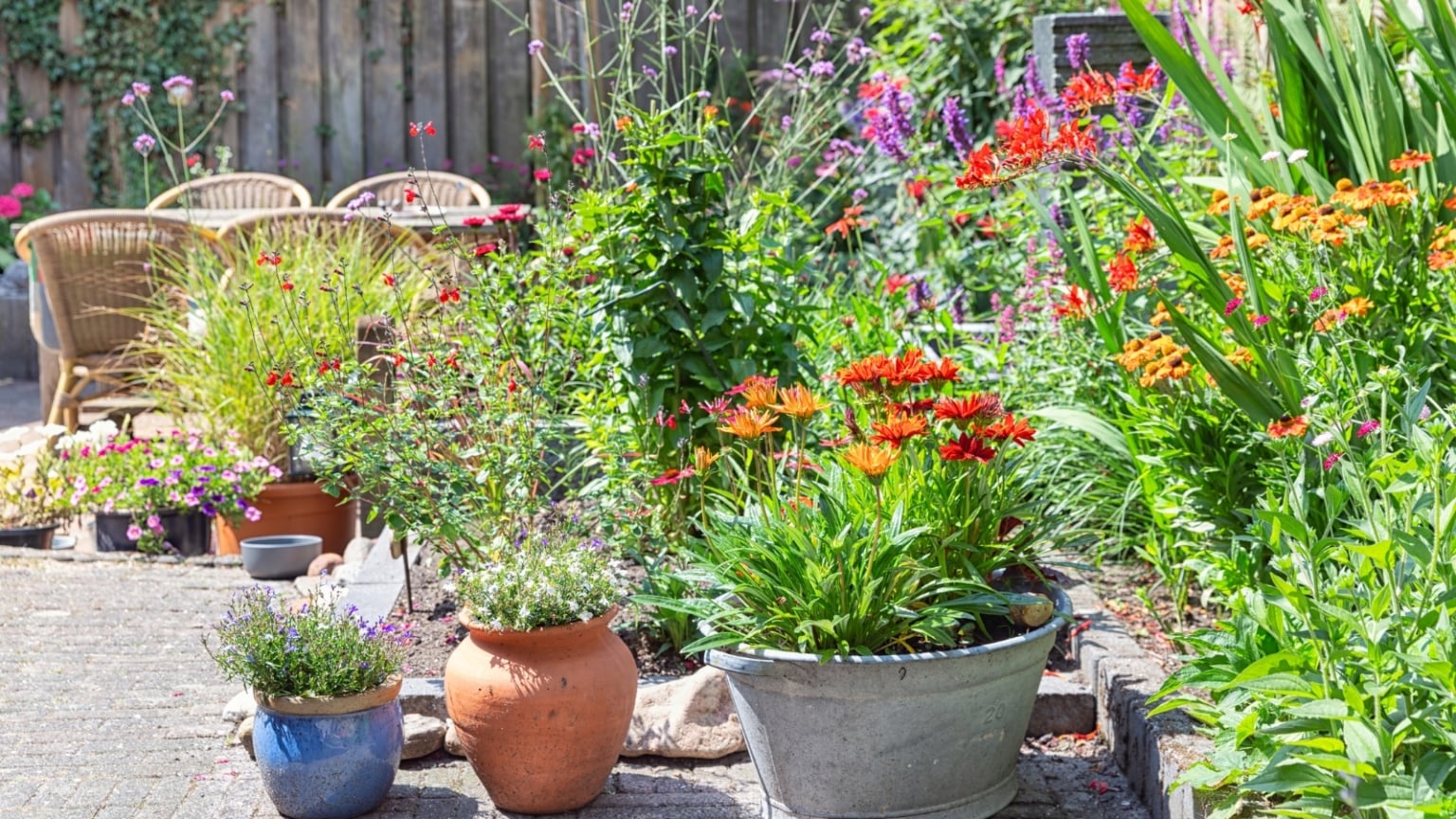 How to Start Your Own Pollinator Garden in Pots or Containers